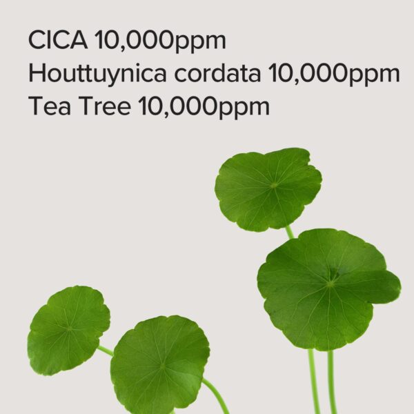 Mary&May CICA Houttuynia Tea Tree Calming Mask 30ea | Quick dispenser type 30 sheet - Image 7