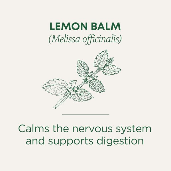 Traditional Medicinals Organic Lemon Balm Herbal Tea, Calming and Supports Digestion,16ct - Image 3