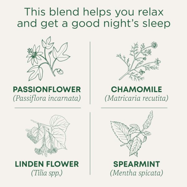 Traditional Medicinals Organic Nighty Night with Passionflower Herbal Tea, Promotes a Good Night’s Sleep, (Pack of 1) - 16 Tea Bags - Image 4