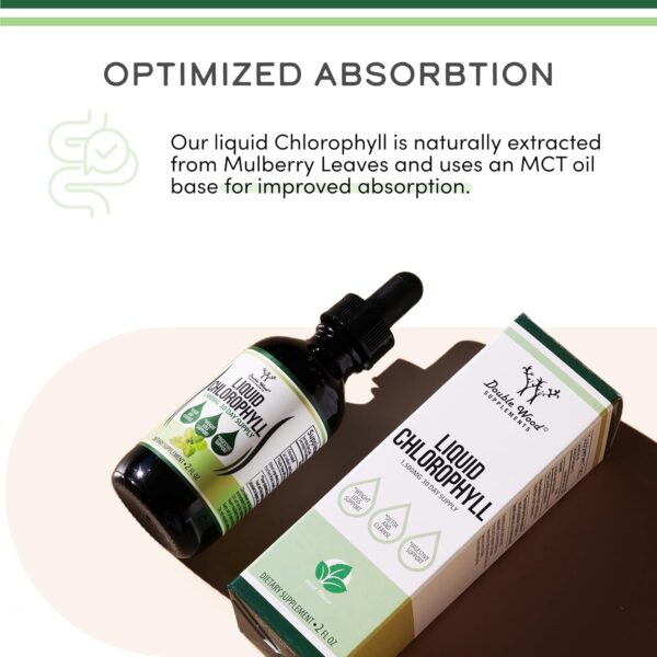 Double Wood Chlorophyll Liquid Drops - Peppermint Flavored, Vegan Safe 2oz - Image 3