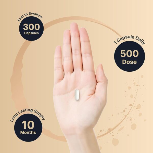 Nature Bell Magnesium Complex 500mg, 300 Capsules - Image 3