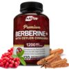 NutriFlair Premium Berberine HCL 1200mg, 120 Capsules - Plus Pure True Ceylon Cinnamon, Berberine HCI Root Supplements Pills - Immune System - yields an Optimal 8% HCl