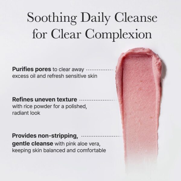 Arencia Fresh Rosehip Rice Mochi Cleanser, 120g - Image 5