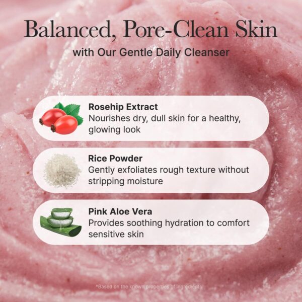 Arencia Fresh Rosehip Rice Mochi Cleanser, 120g - Image 6