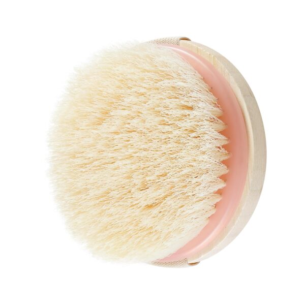 EcoTools Dry Body Brush, Cruelty-Free Bristles Exfoliate & Smooth Skin, Dry Brushing Removes Flaky Skin, May Help Improve Circulation & Tone, Eco-Friendly Skincare Tool, Vegan & Cruelty-Free, 1 Count - Image 10