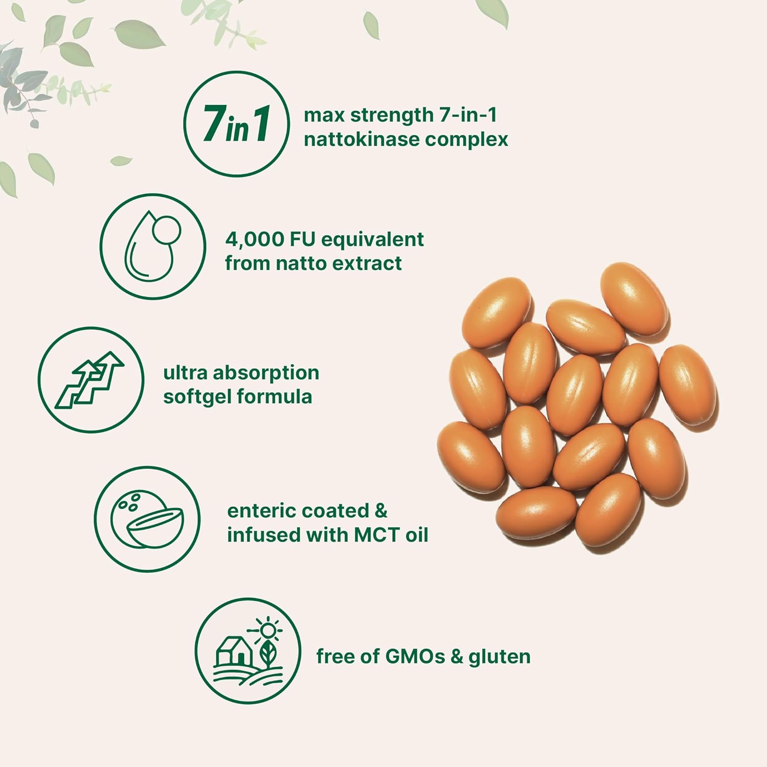 Nattokinase 4,000 FU Equivalent, 240 Enteric Coated Softgels with MCT Oil | 7-in-1 Ultra Absorption Cardiovascular Supplement with CoQ10, Bromelain, Turmeric, Ginger, Olive Leaf, & White Willow Bark - Image 3