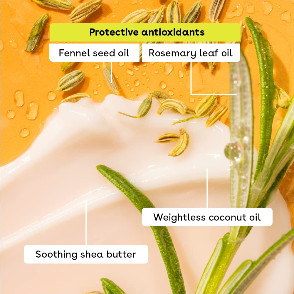 eos Natural Shea Minty Lip Balm Variety Pack - Artic, Vanilla, Sweet and Eucalyptus Mint, All-Day Moisture Lip Balm Gift Set, 0.14 oz, 4-Pack - Image 6